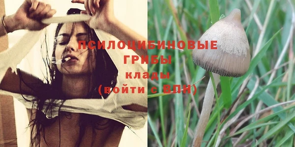 ешки Кодинск