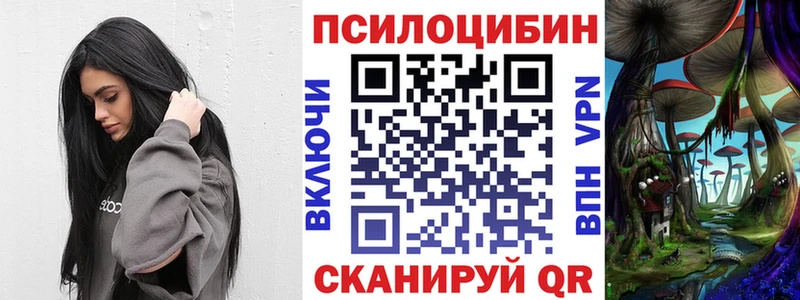 Купить закладки  Топки  Псилоцибиновые грибы мухоморы 