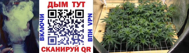 Шишки марихуана тримм  Купить  Топки 